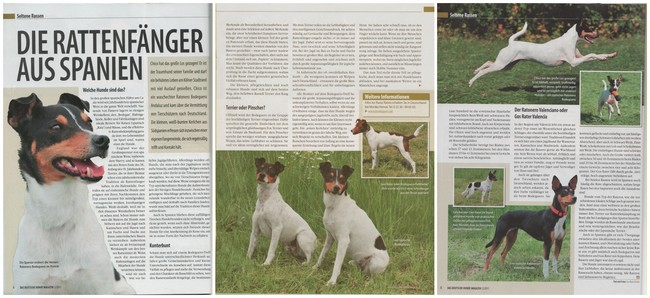 bodeguero_deutsches_hundemagazin