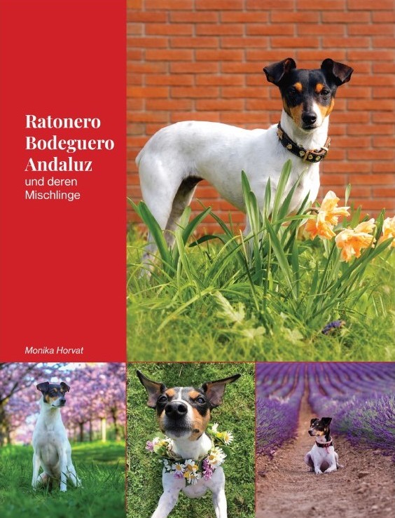 Bodeguero Buch