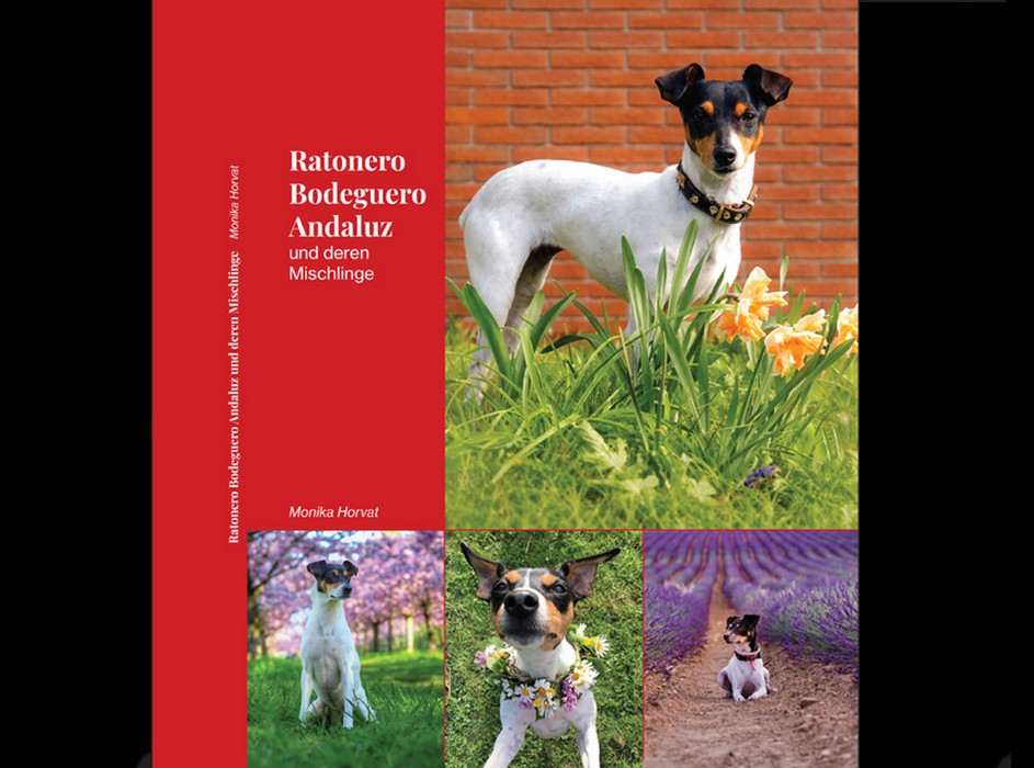 bodibook_cover_avantar-kopie